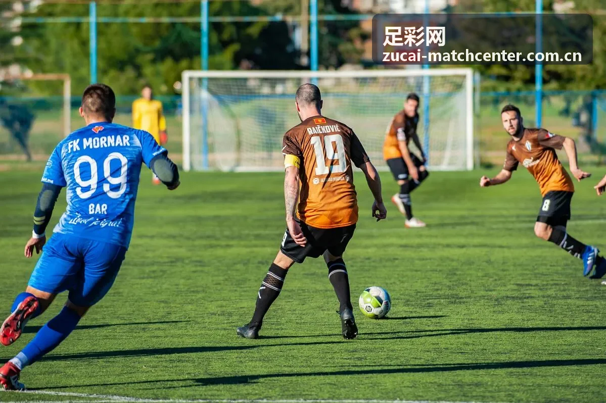 足彩网足球专题资料封面